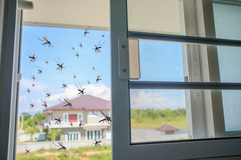 A Residential Fly Screens In Gold Coast