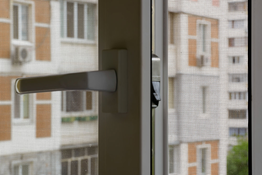 A Window With Fly Screen